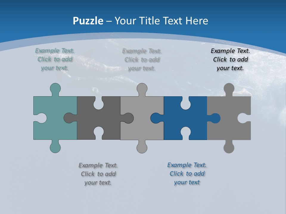 Dolphins PowerPoint Template