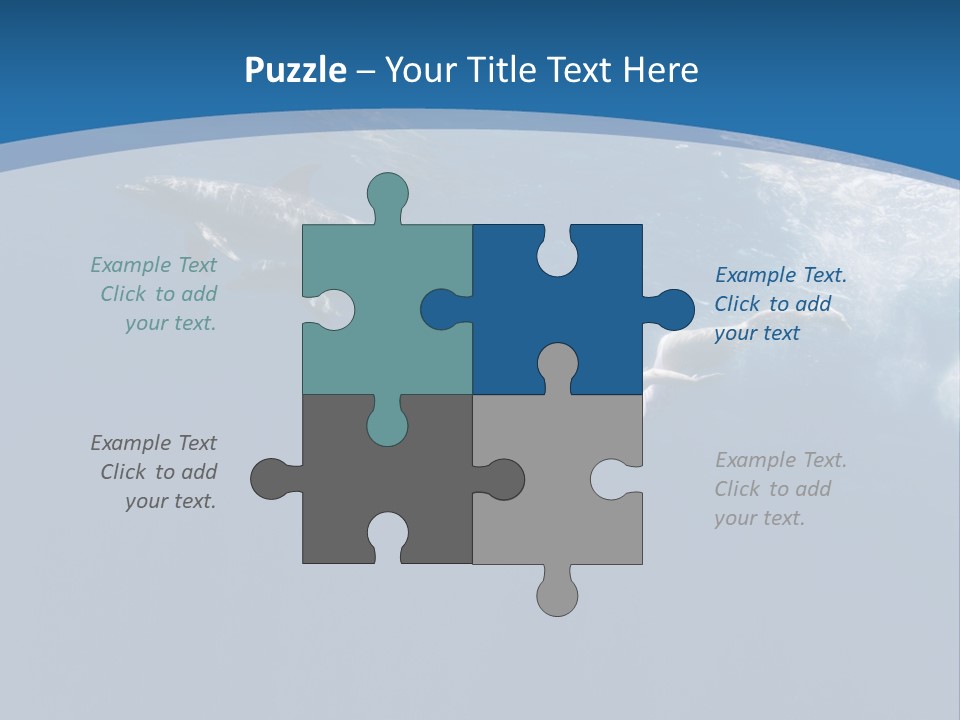 Dolphins PowerPoint Template