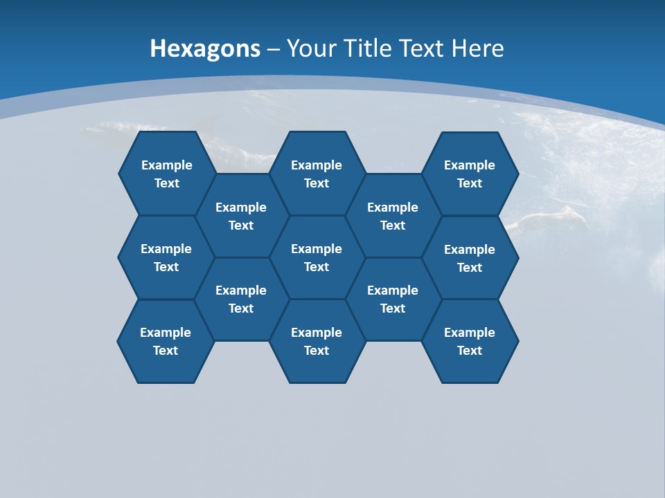 Dolphins PowerPoint Template