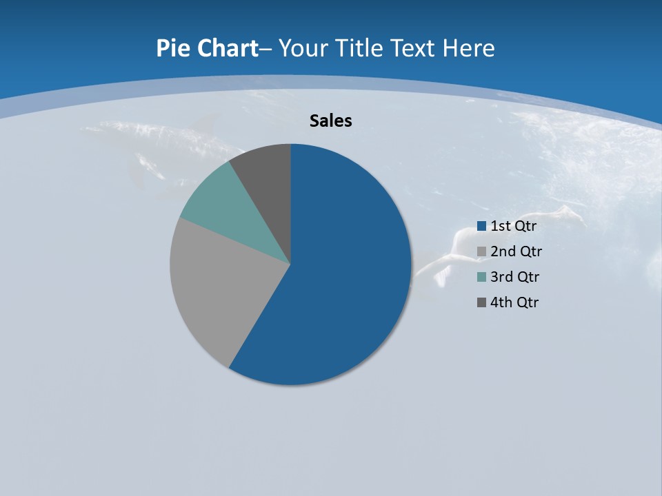 Dolphins PowerPoint Template