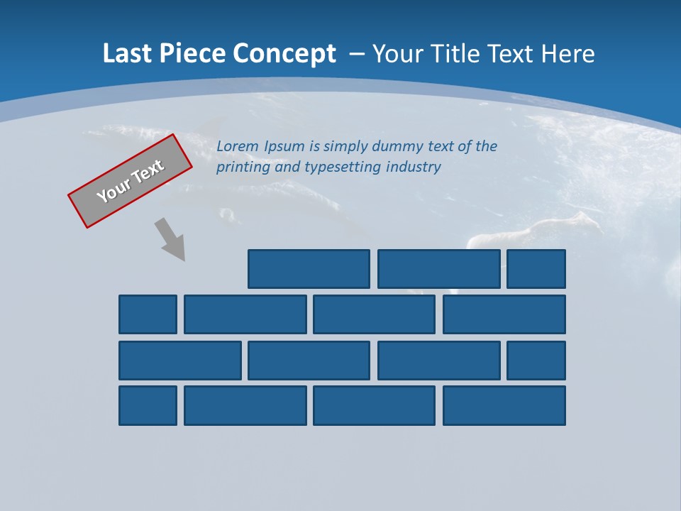 Dolphins PowerPoint Template