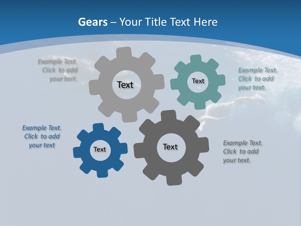 Dolphins PowerPoint Template