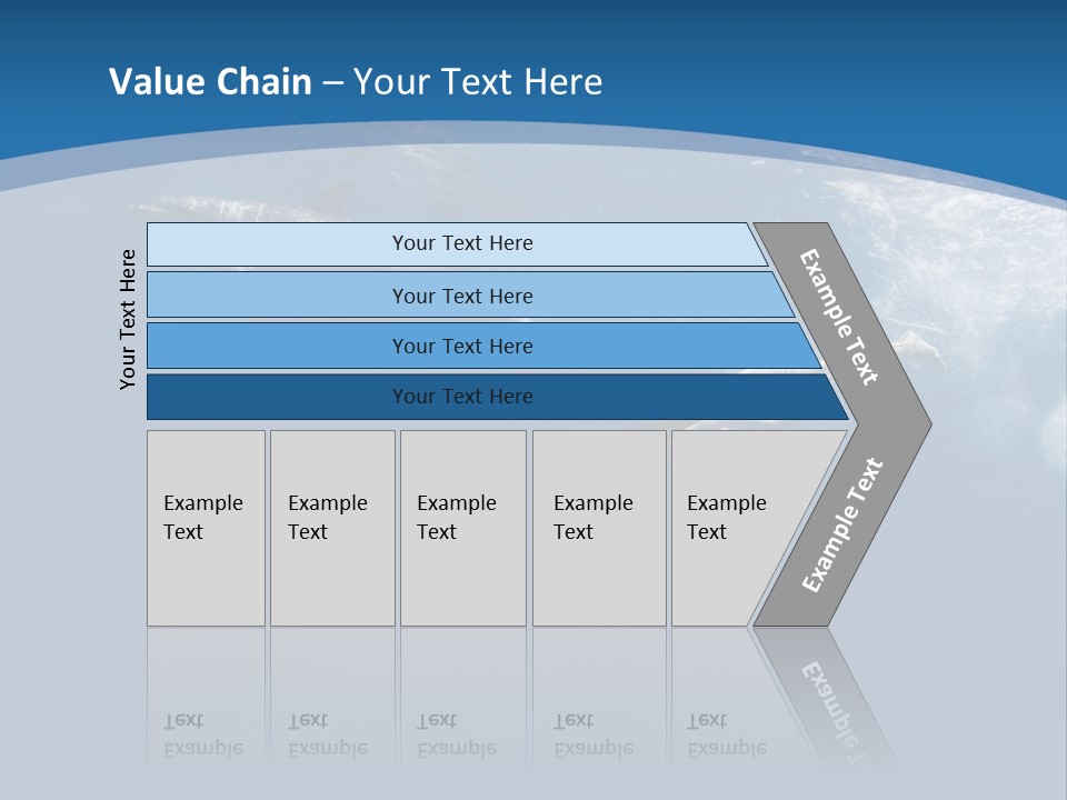 Dolphins PowerPoint Template
