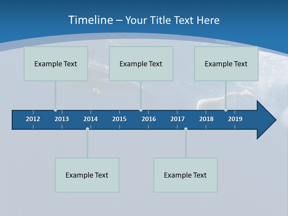 Dolphins PowerPoint Template