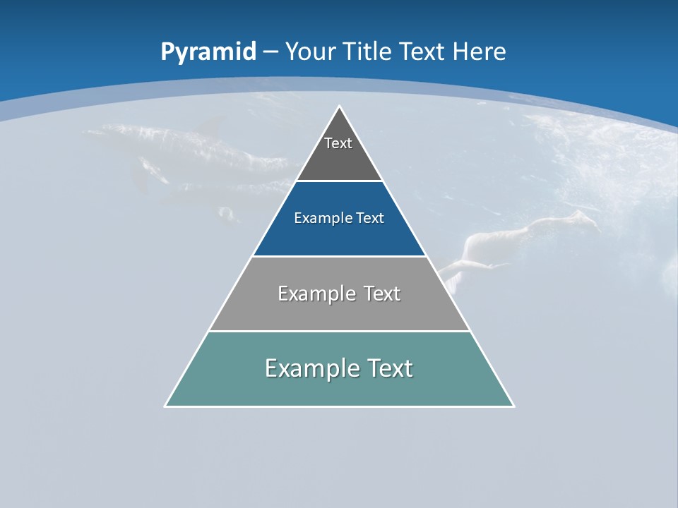 Dolphins PowerPoint Template