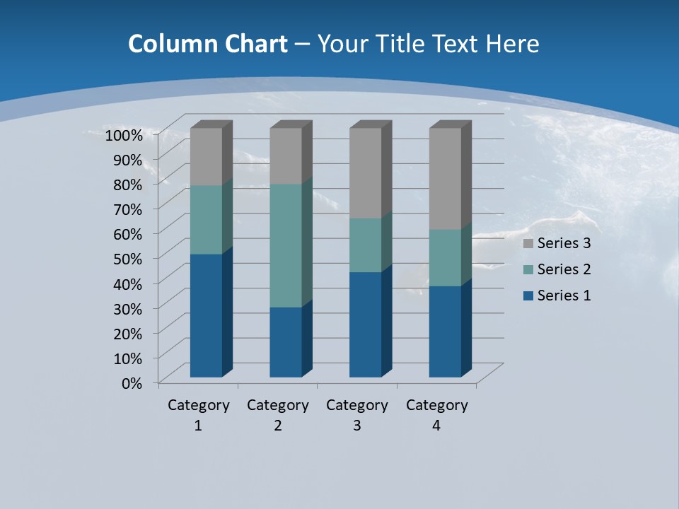 Dolphins PowerPoint Template