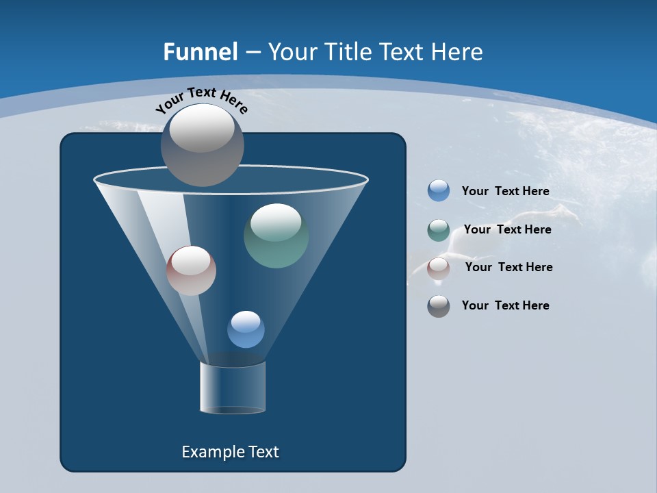 Dolphins PowerPoint Template
