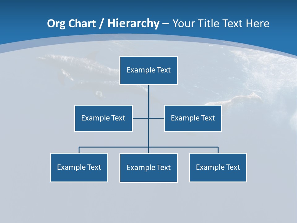 Dolphins PowerPoint Template