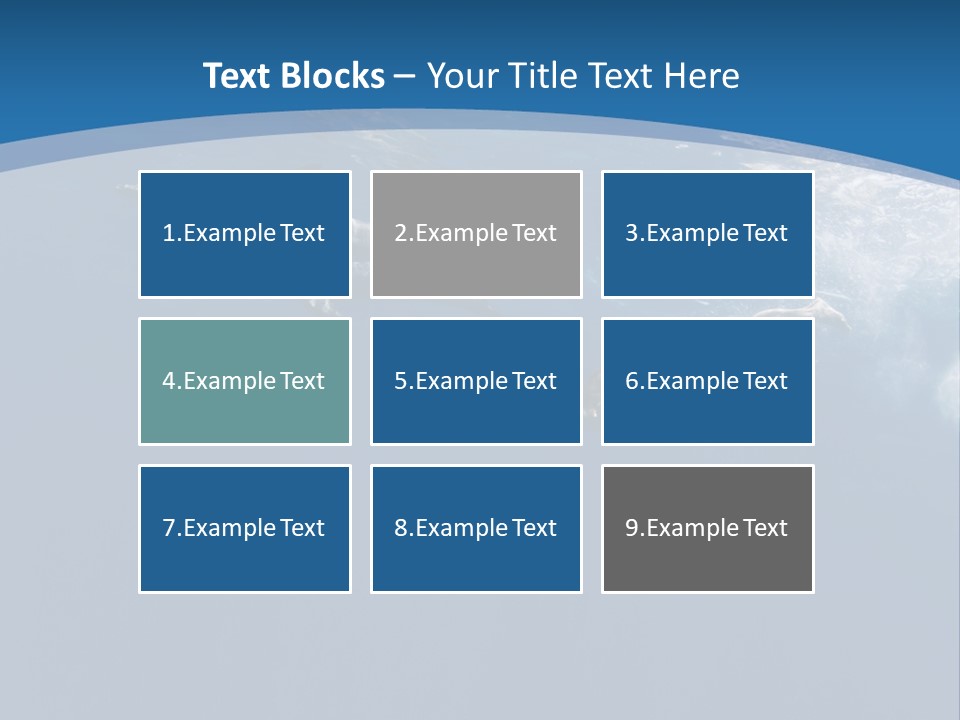 Dolphins PowerPoint Template