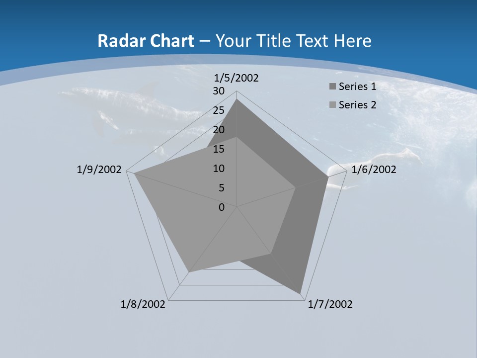 Dolphins PowerPoint Template