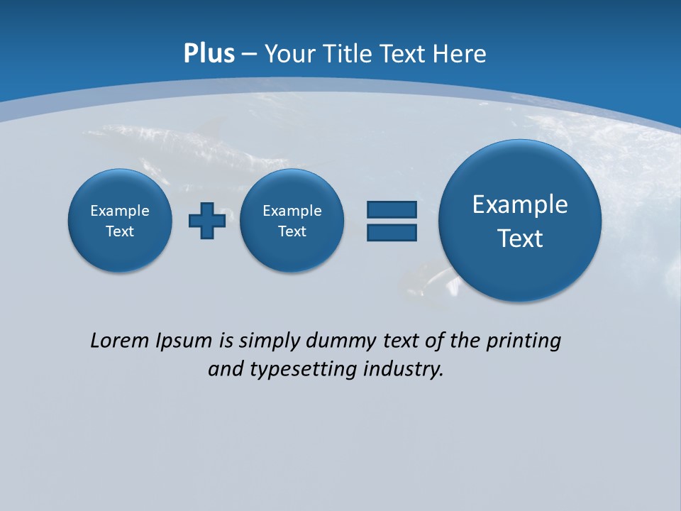 Dolphins PowerPoint Template