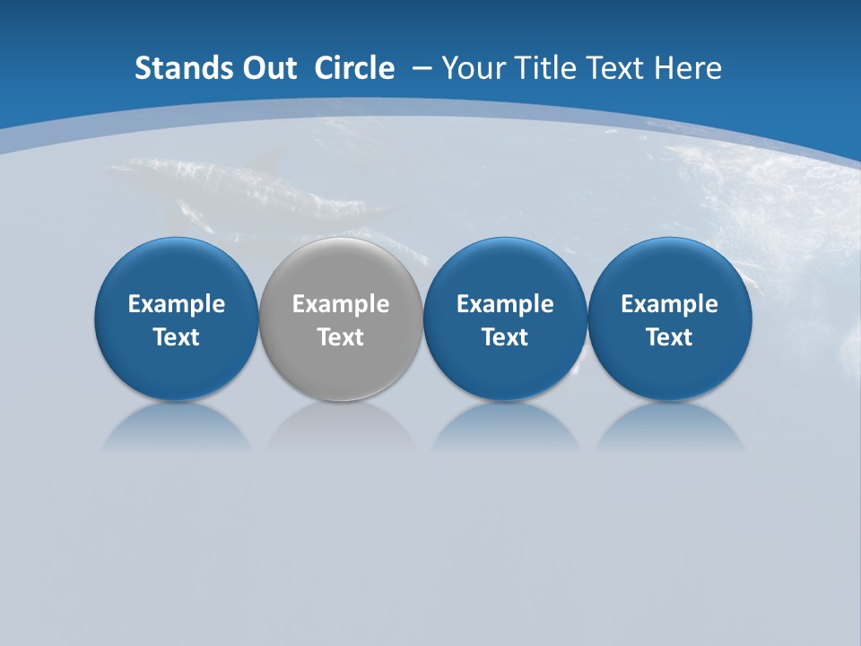 Dolphins PowerPoint Template