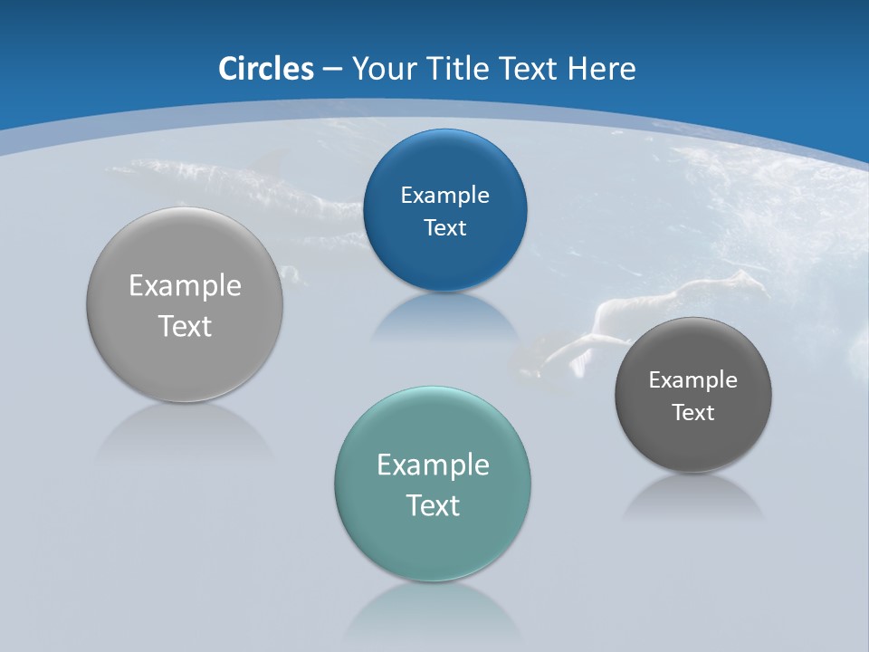 Dolphins PowerPoint Template