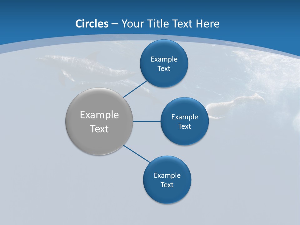 Dolphins PowerPoint Template