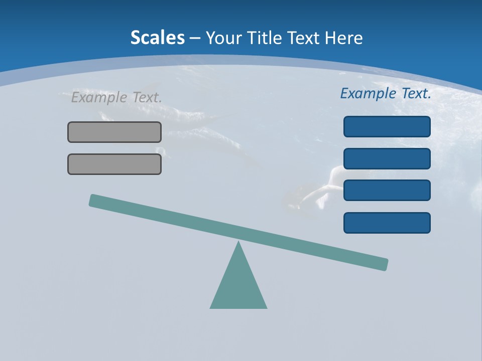 Dolphins PowerPoint Template