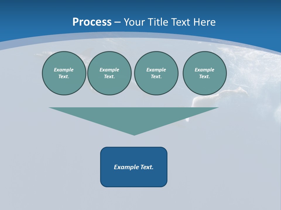 Dolphins PowerPoint Template
