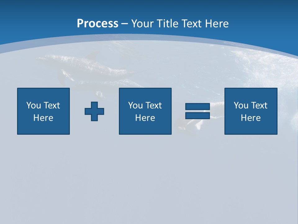Dolphins PowerPoint Template