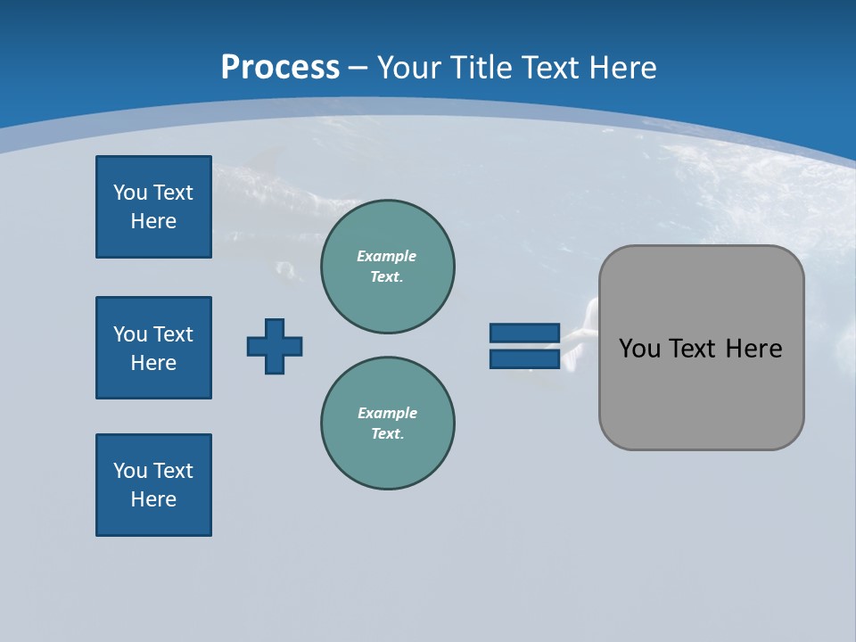 Dolphins PowerPoint Template