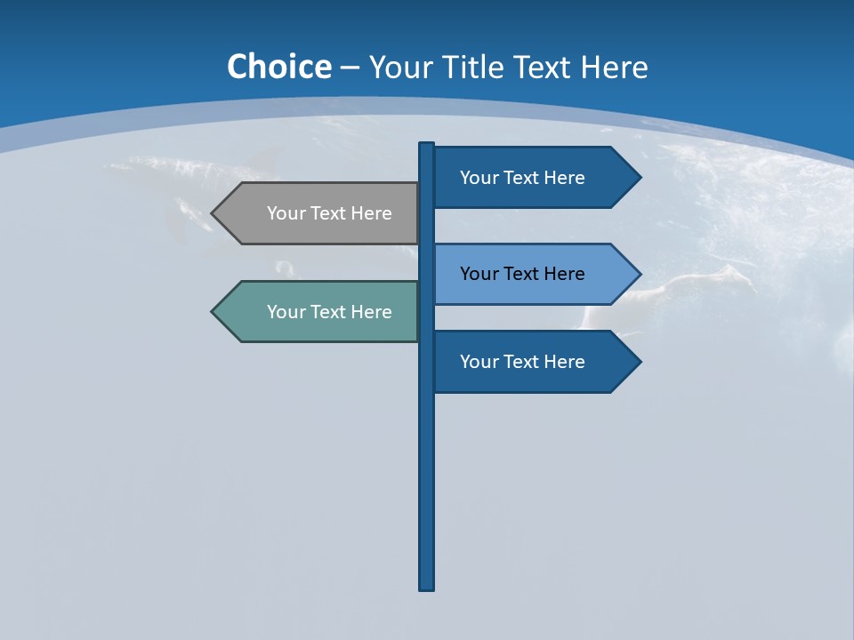 Dolphins PowerPoint Template