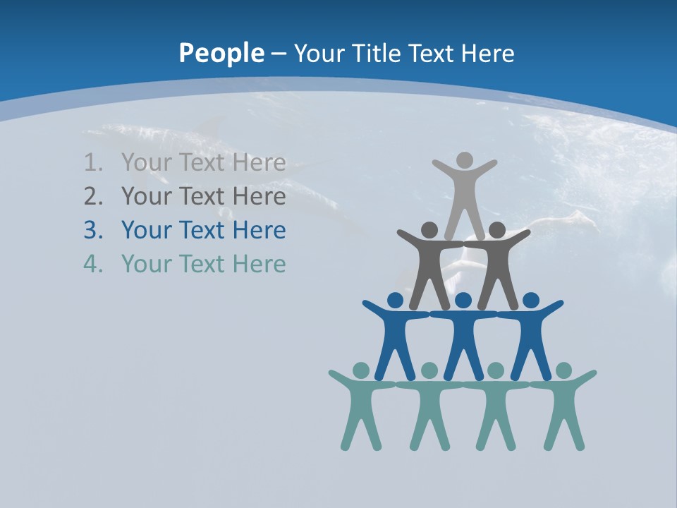 Dolphins PowerPoint Template