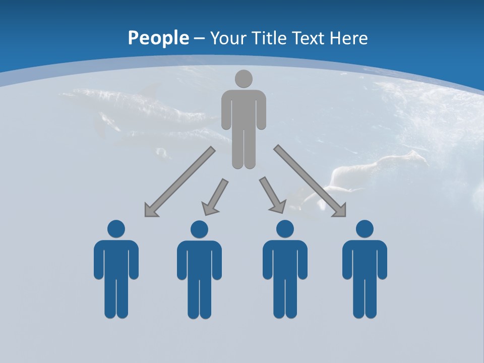 Dolphins PowerPoint Template