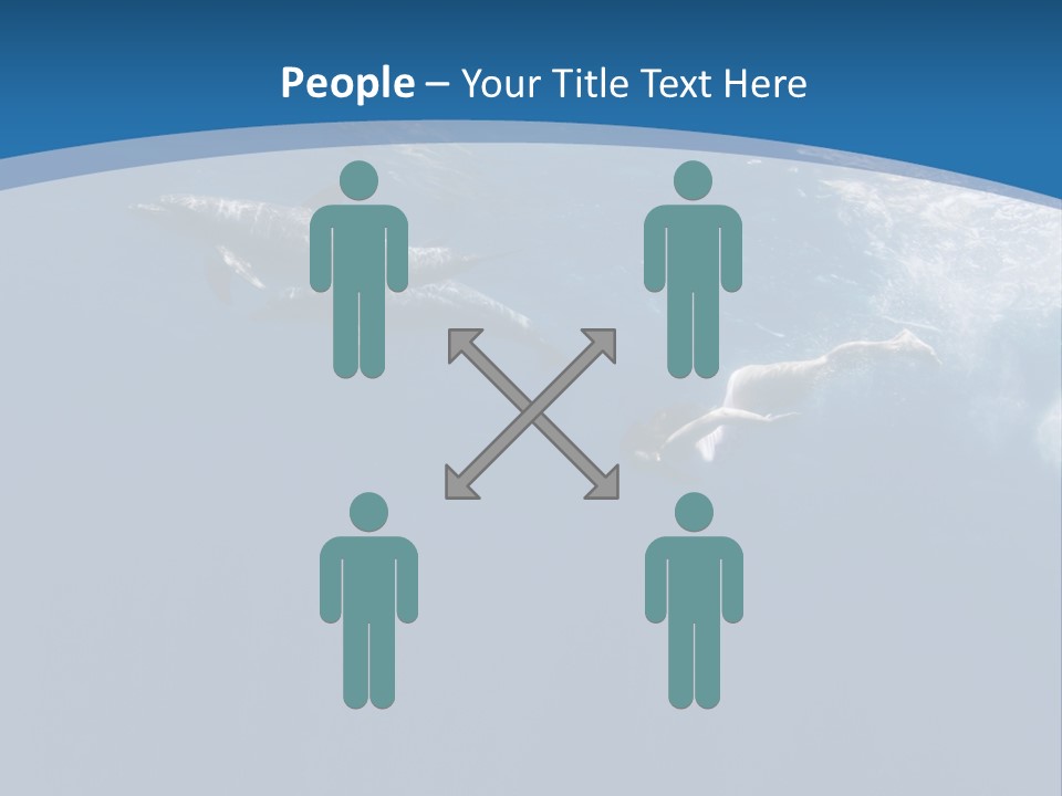 Dolphins PowerPoint Template