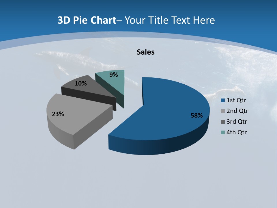 Dolphins PowerPoint Template
