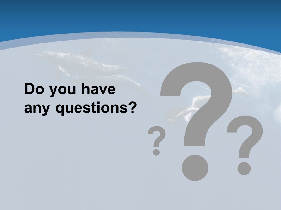 Dolphins PowerPoint Template