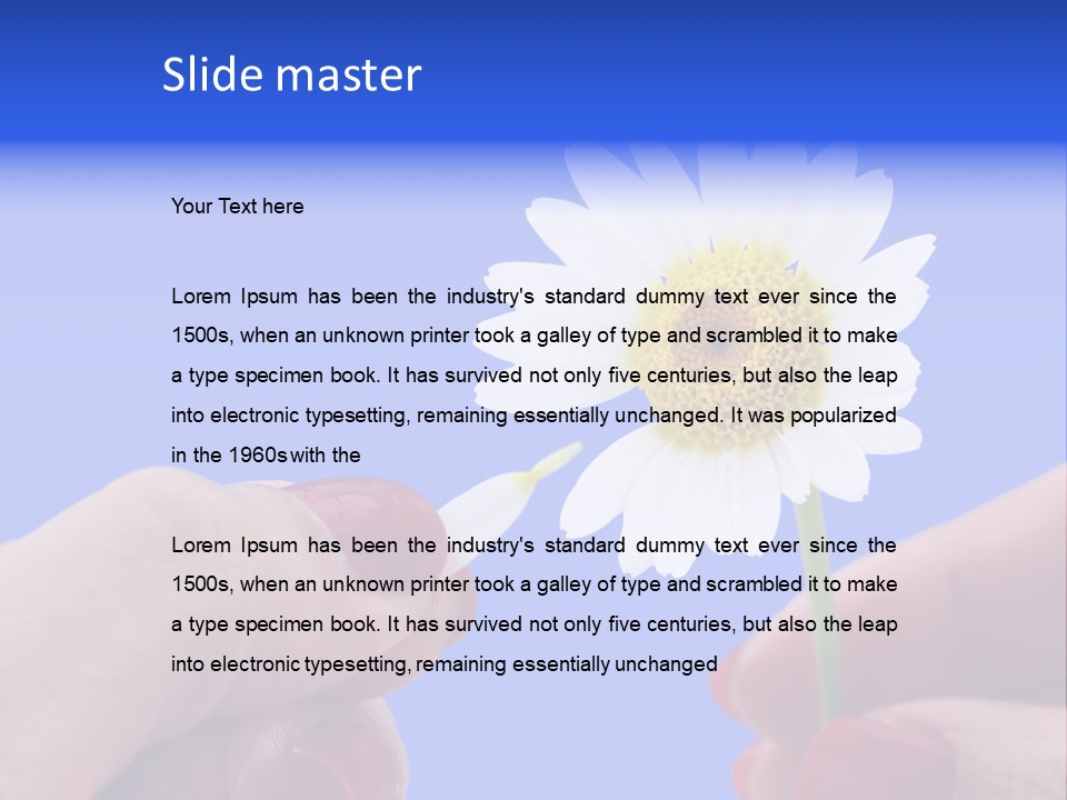 Chamomile Of Desires PowerPoint Template