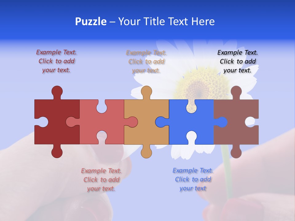 Chamomile Of Desires PowerPoint Template