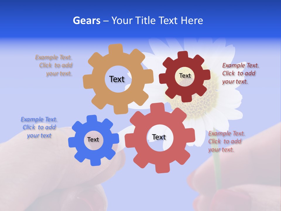 Chamomile Of Desires PowerPoint Template