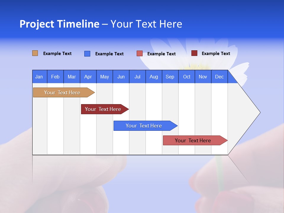 Chamomile Of Desires PowerPoint Template