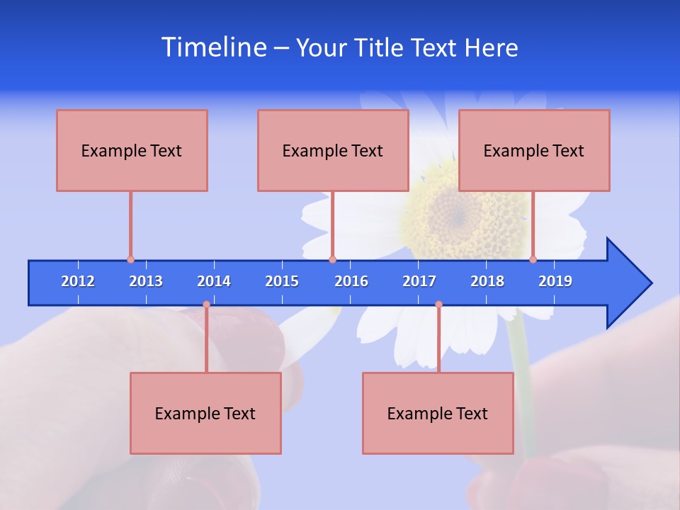 Chamomile Of Desires PowerPoint Template