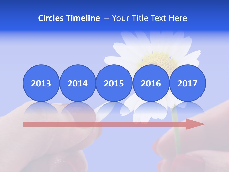 Chamomile Of Desires PowerPoint Template
