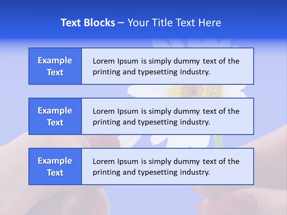 Chamomile Of Desires PowerPoint Template