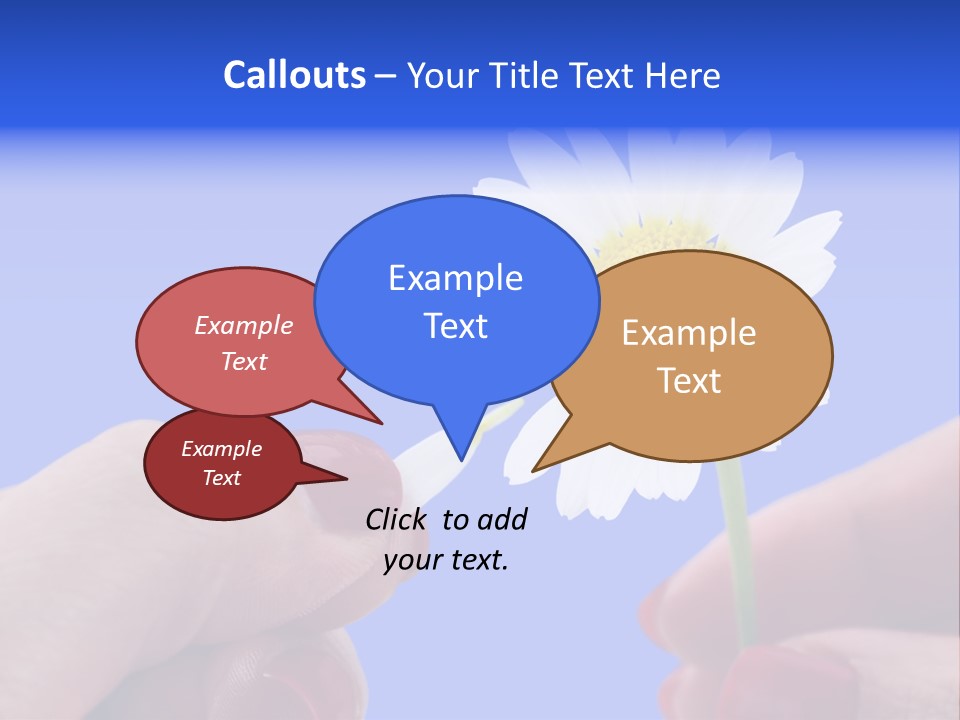 Chamomile Of Desires PowerPoint Template