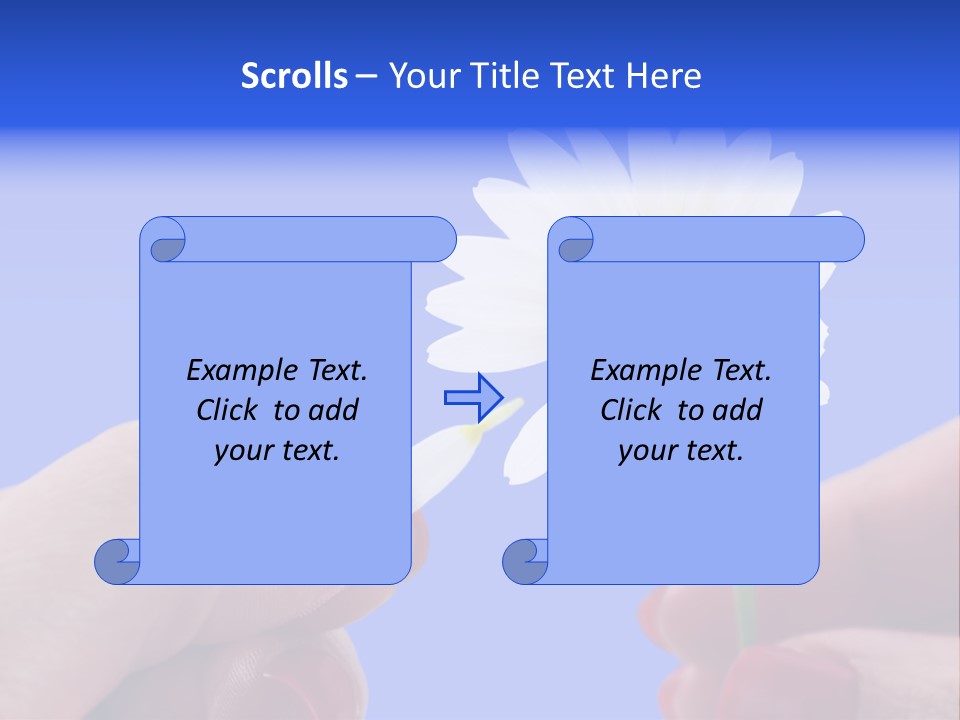 Chamomile Of Desires PowerPoint Template