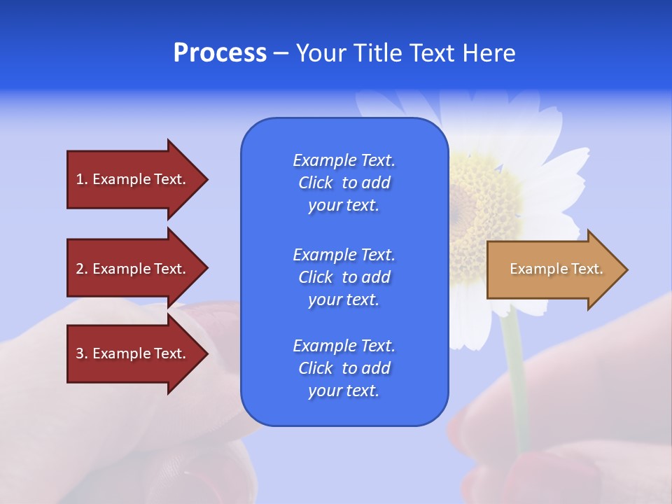 Chamomile Of Desires PowerPoint Template