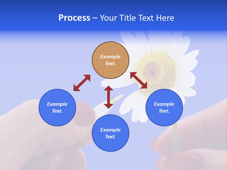 Chamomile Of Desires PowerPoint Template