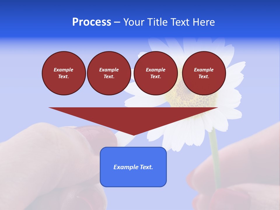 Chamomile Of Desires PowerPoint Template