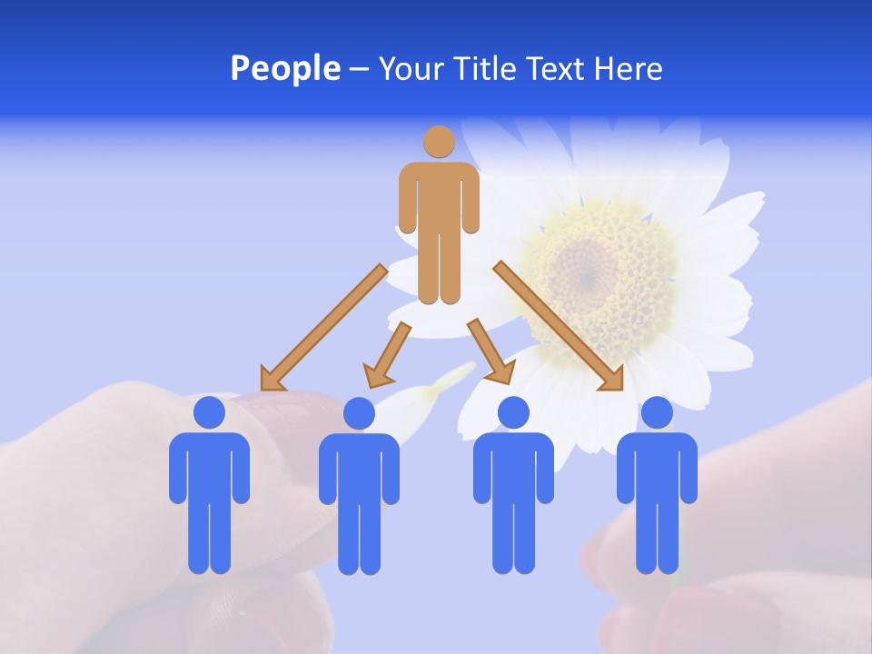 Chamomile Of Desires PowerPoint Template