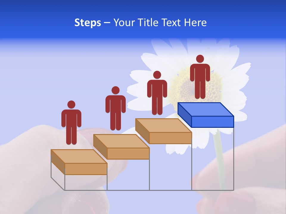 Chamomile Of Desires PowerPoint Template