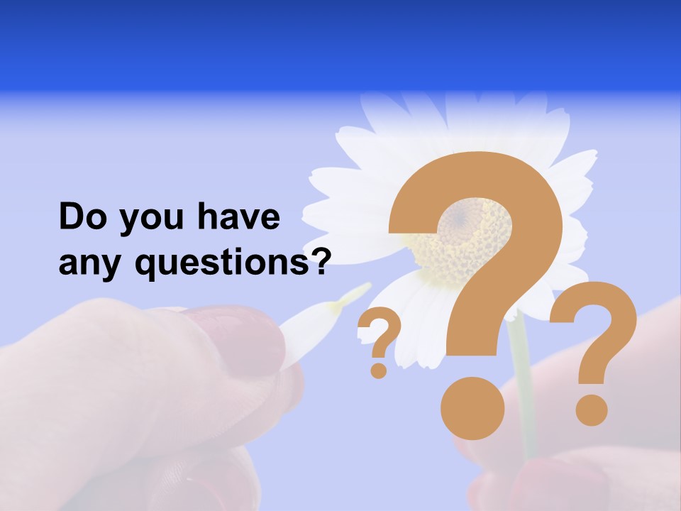 Chamomile Of Desires PowerPoint Template