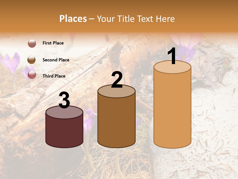 Snowdrops PowerPoint Template