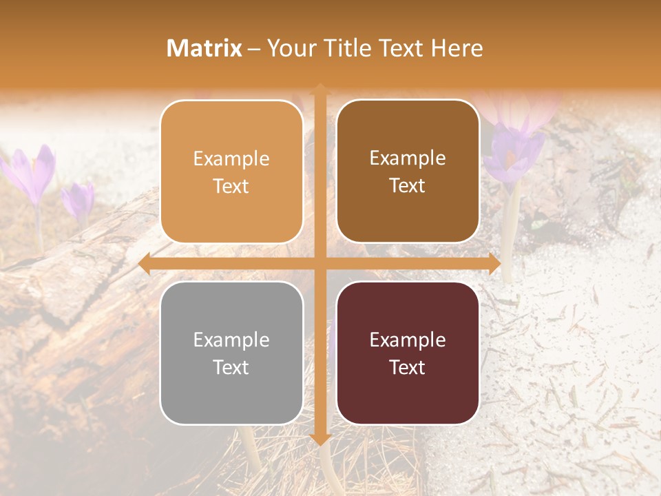 Snowdrops PowerPoint Template