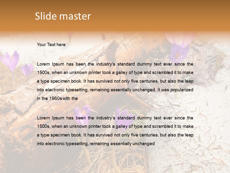 Snowdrops PowerPoint Template