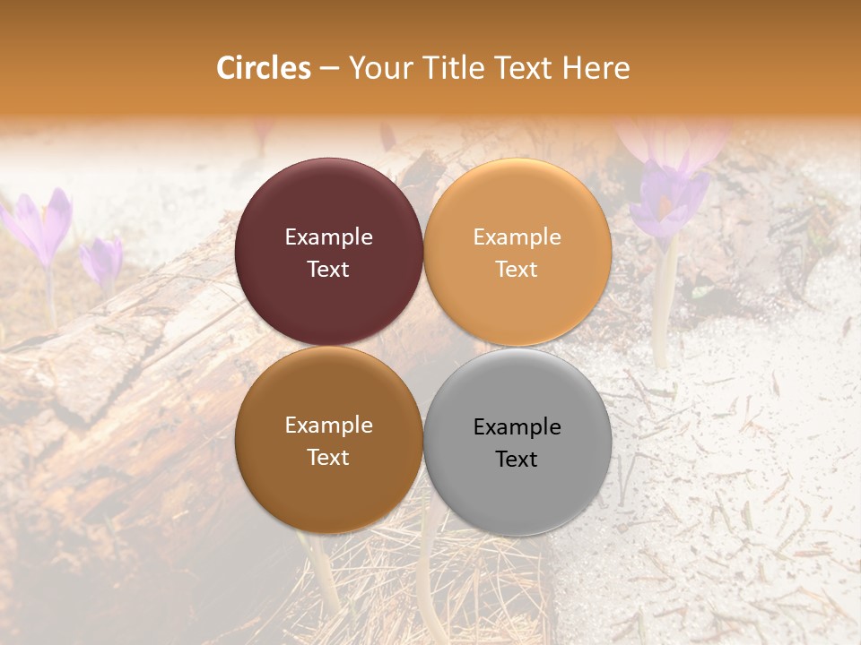 Snowdrops PowerPoint Template