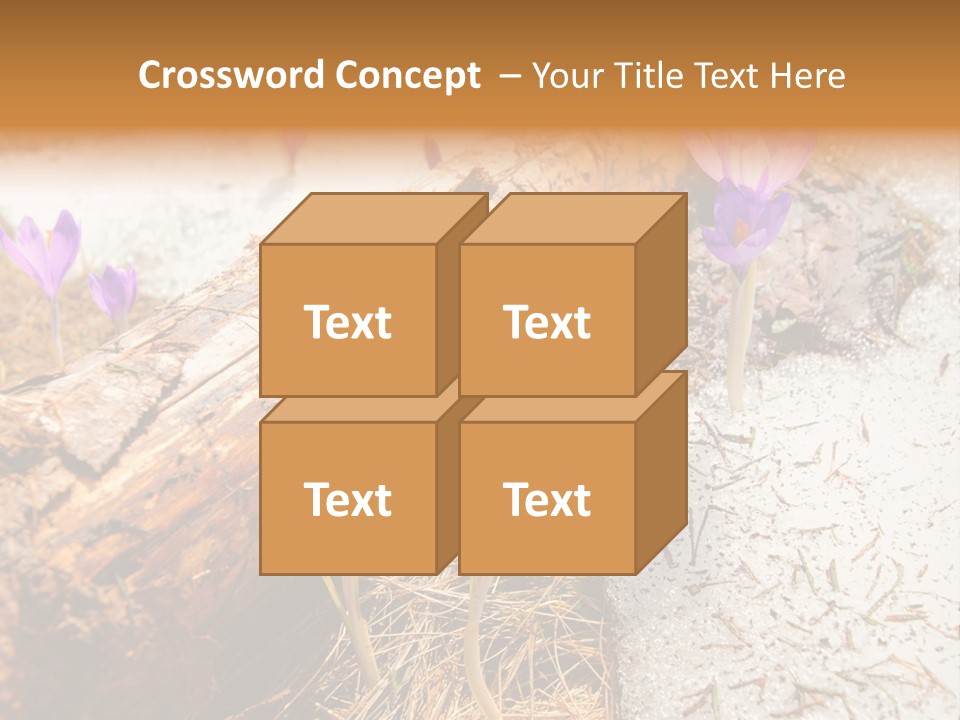 Snowdrops PowerPoint Template