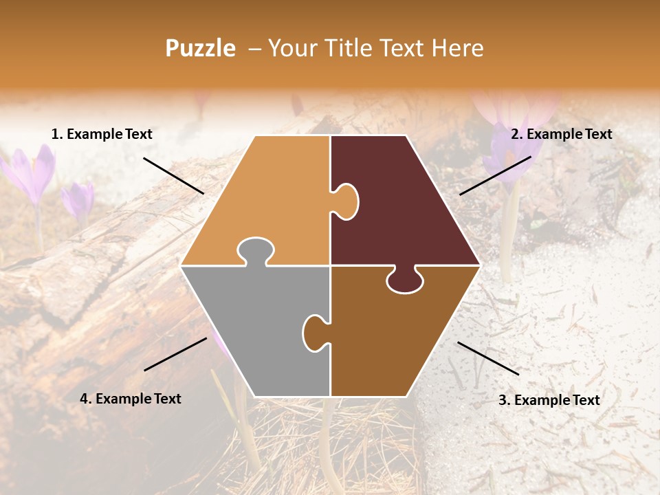 Snowdrops PowerPoint Template