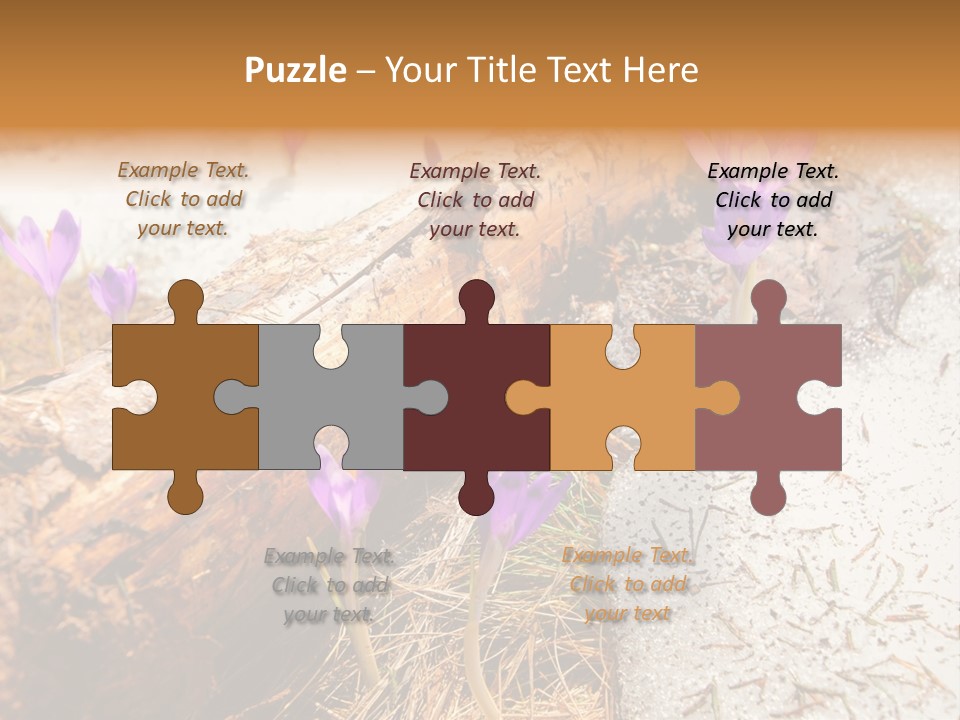 Snowdrops PowerPoint Template